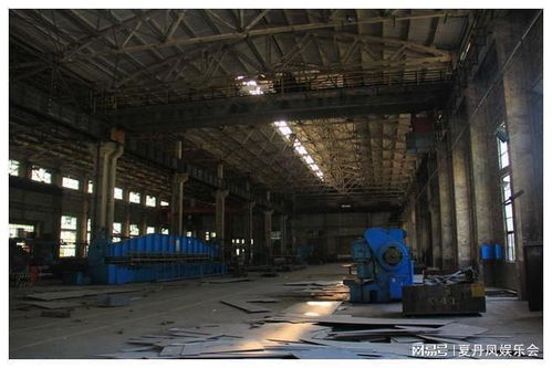 这家导弹基地下辖的兵工厂,老厂房几经转手,如今大部分闲置